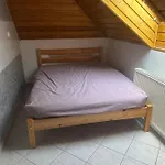 Homestay 布达佩斯苹果酒店 *