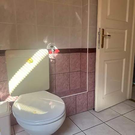 בית אירוח 布达佩斯苹果酒店 *