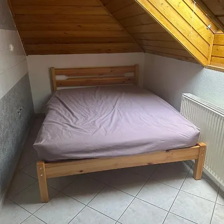 בית אירוח 布达佩斯苹果酒店 *